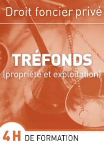 Tréfonds